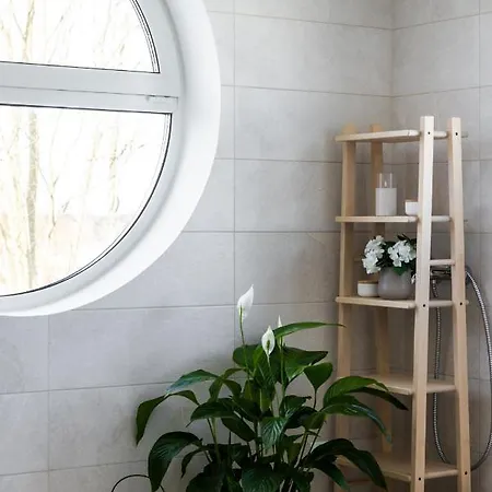 Vesiroosi Penthouse By River